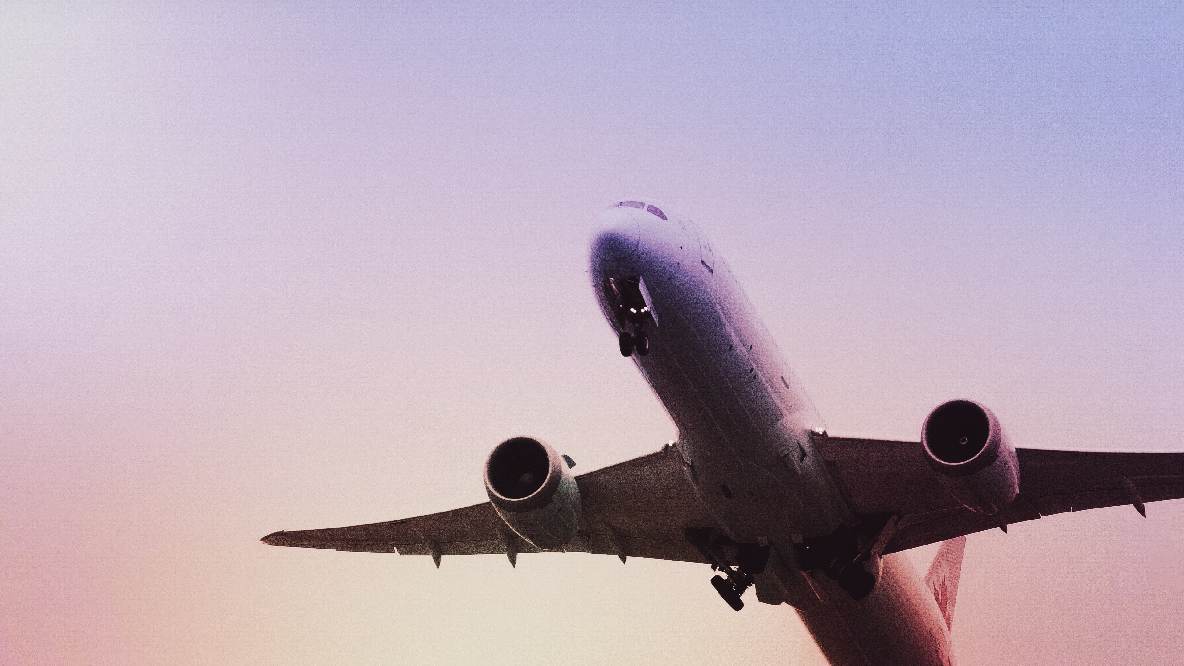 aereo sul viola(1).jpg
